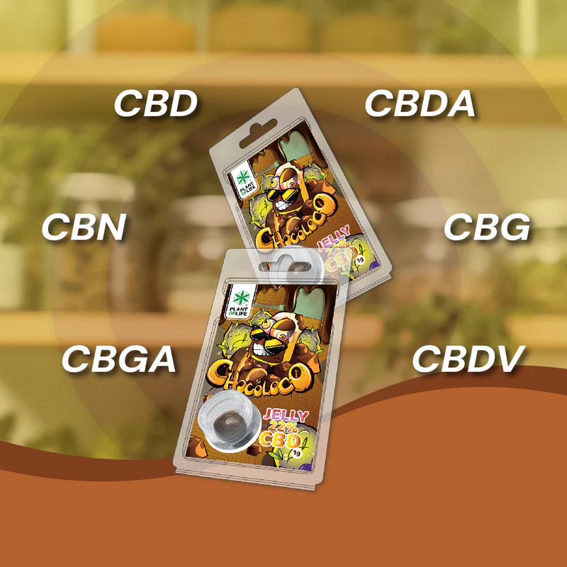 JELLY 22% CBD CHOCOLOCO 1G