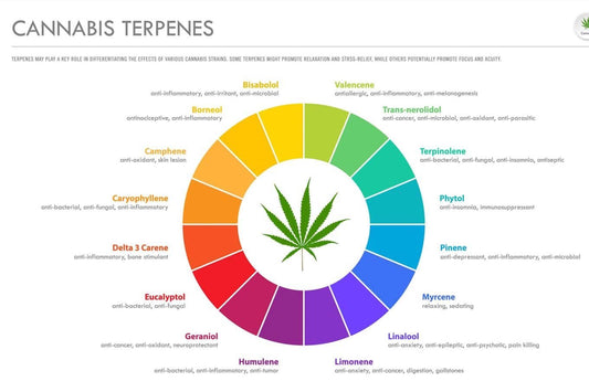 (NIEUW: AROMATHERAPIE) Terpenen – 1ml (diverse strains beschikbaar)