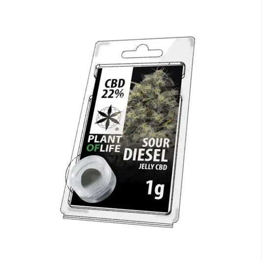 JELLY 22% CBD SOUR DIESEL 1G
